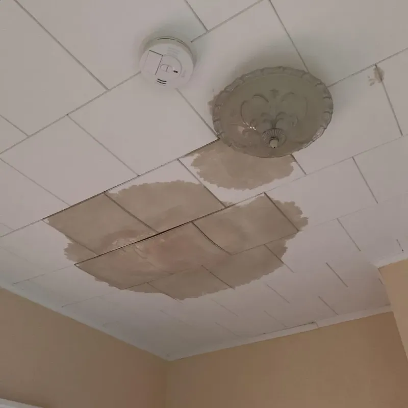 Ceiling Water Damage Repair in Howard, WI