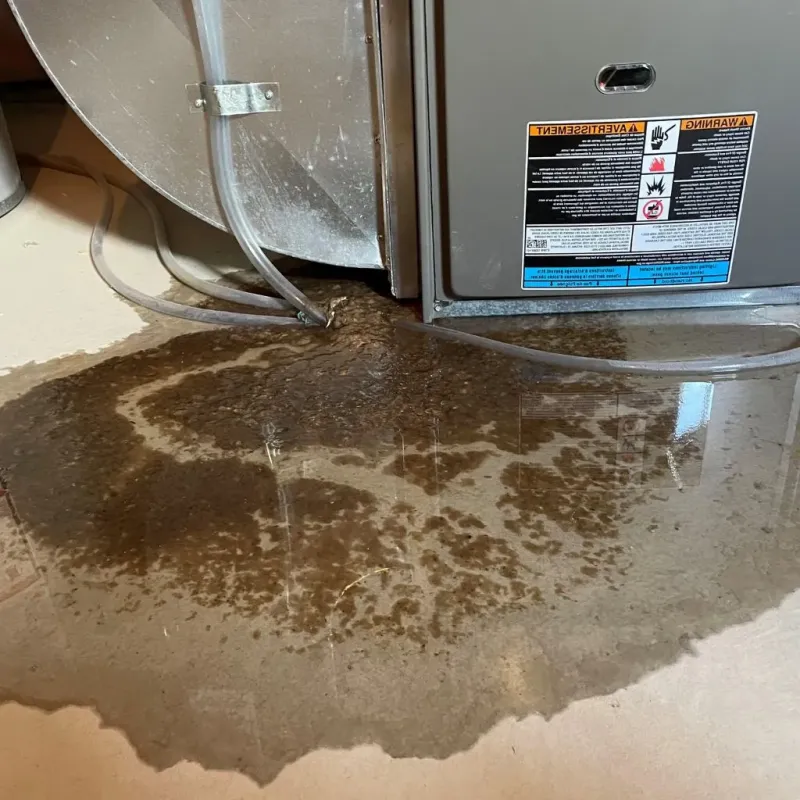 Pipe Burst and Leak Restoration in Howard, WI