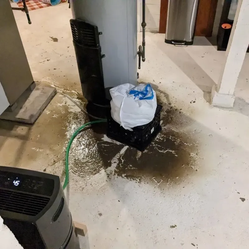Sewage Backup Cleanup Service in Howard, WI